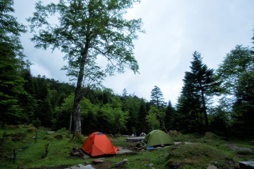 オーレン小屋のテント場に立つテント（八ヶ岳）の写真