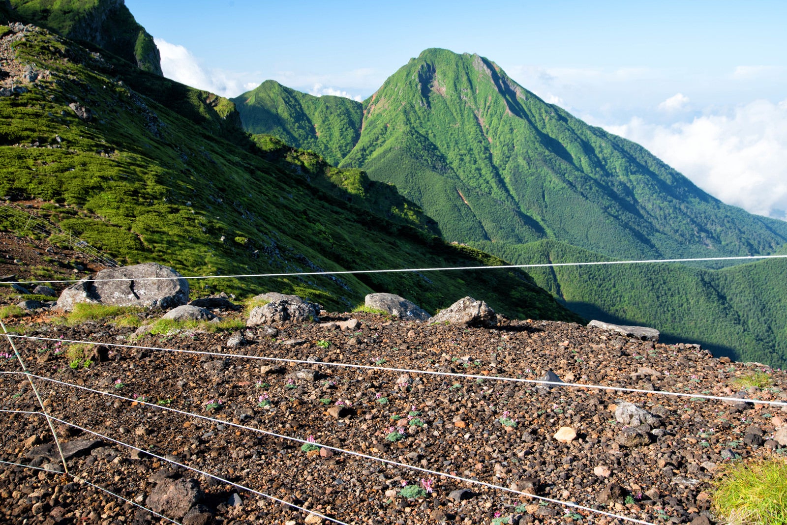 「コマクサの群生を守る電気柵と阿弥陀岳（八ヶ岳）」の写真