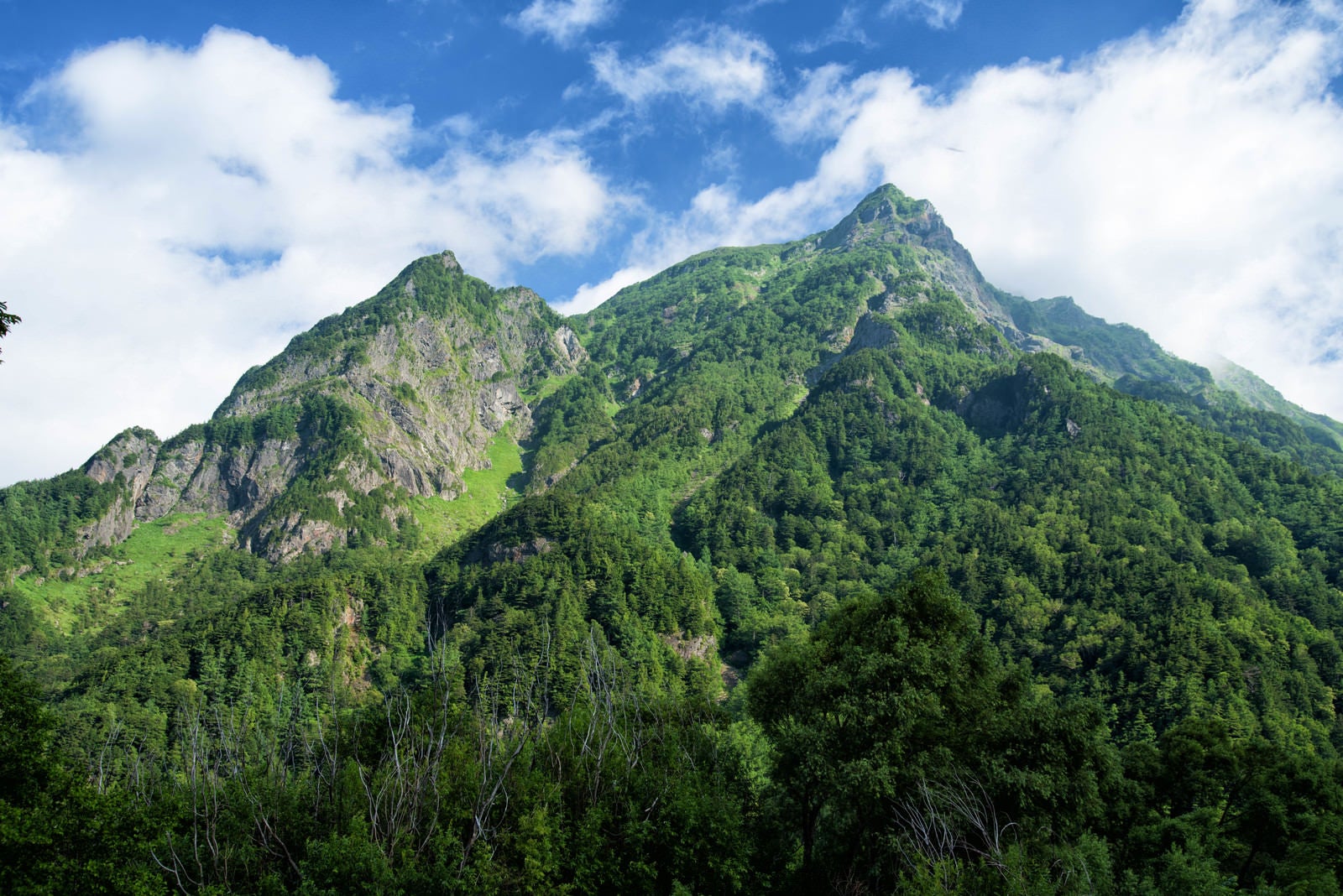 「夏季の明神岳」の写真