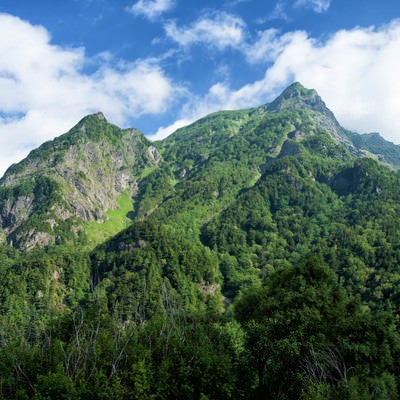 夏季の明神岳の写真