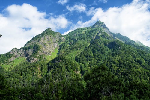 夏季の明神岳の写真