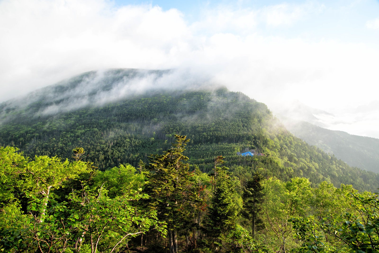 「霧に包まれた八ヶ岳の森と本沢温泉」の写真