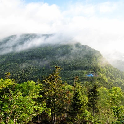 霧に包まれた八ヶ岳の森と本沢温泉の写真