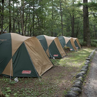 道の脇に並ぶコールマンのレンタルテント（小梨平キャンプ場）の写真