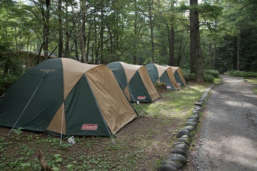 道の脇に並ぶコールマンのレンタルテント（小梨平キャンプ場）の写真