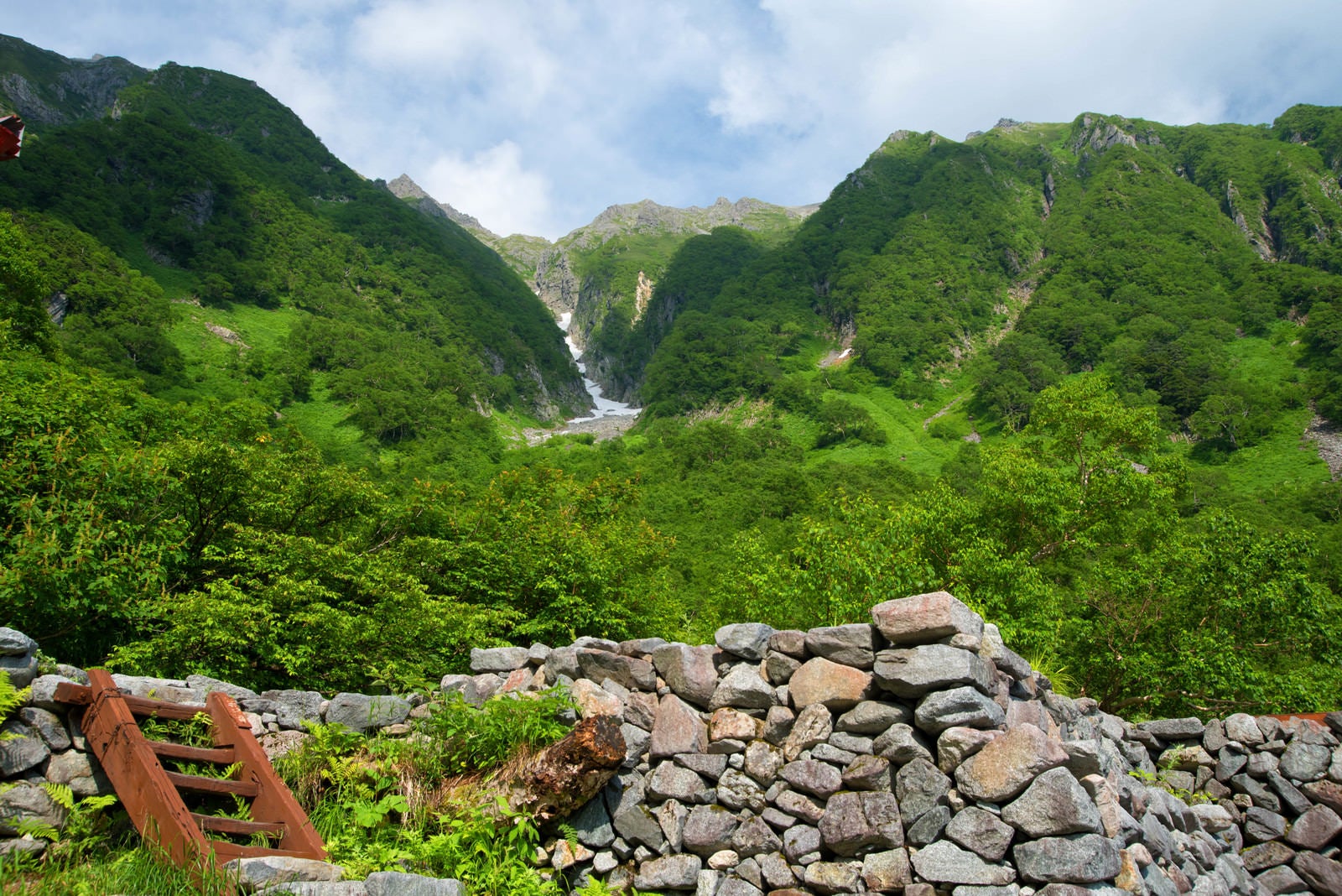 「岳沢山荘から見上げる新緑の吊尾根（上高地）」の写真