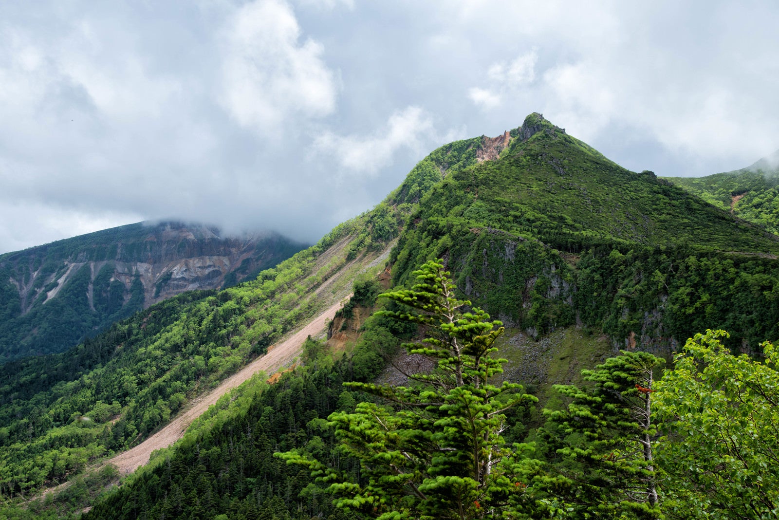 「新緑に覆われた東天狗岳と曇り空（八ヶ岳連峰）」の写真