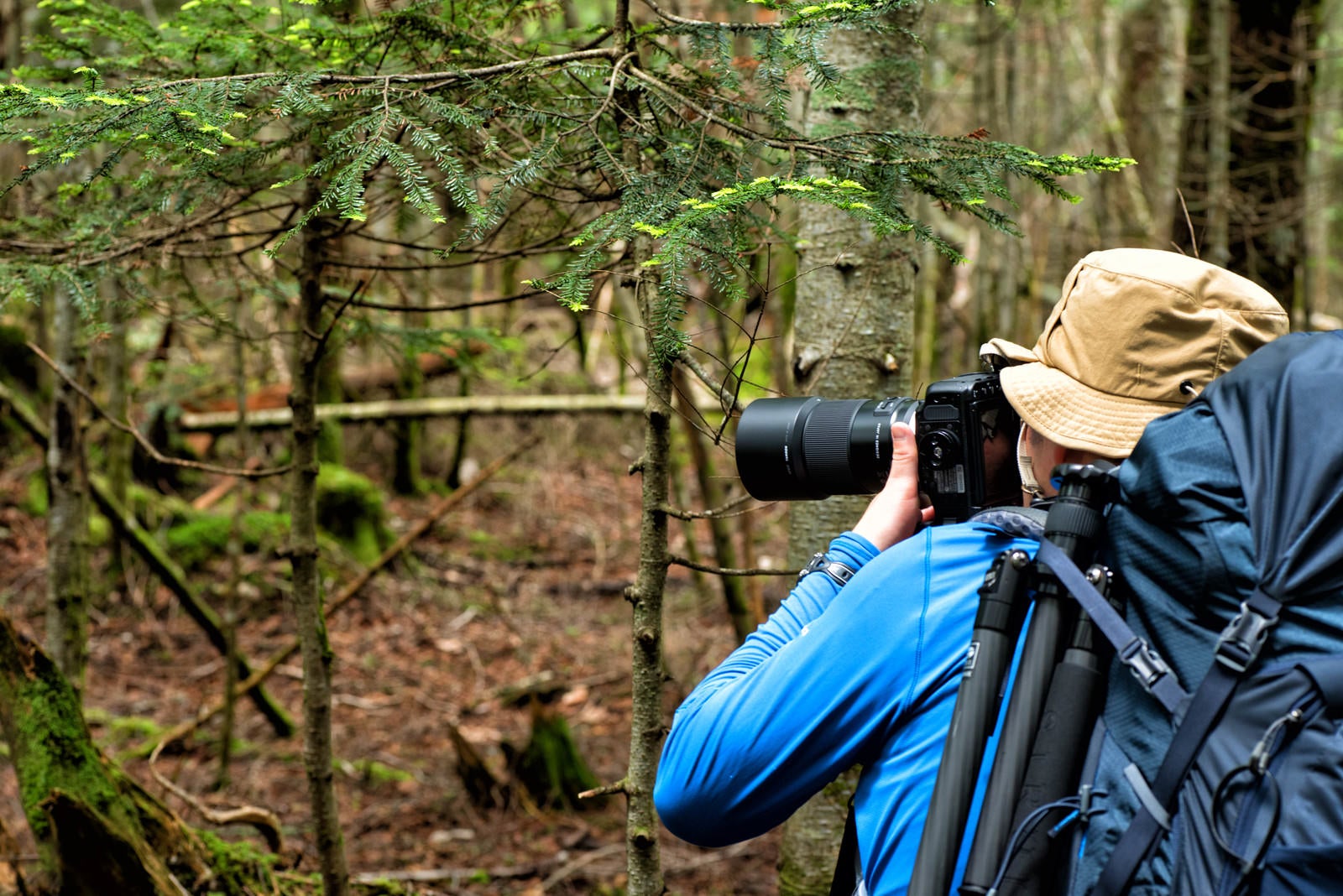 「森の中を撮影する山岳カメラマン」の写真