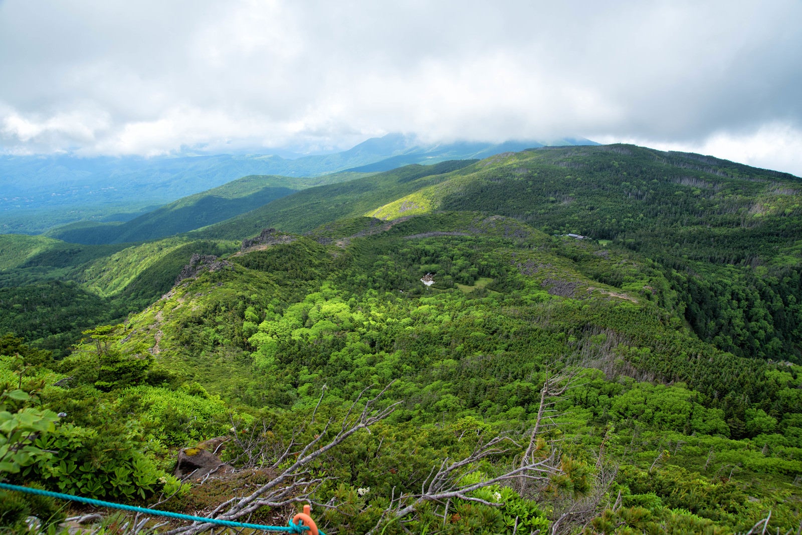 「東天狗岳山頂から俯瞰した北八ヶ岳の森」の写真