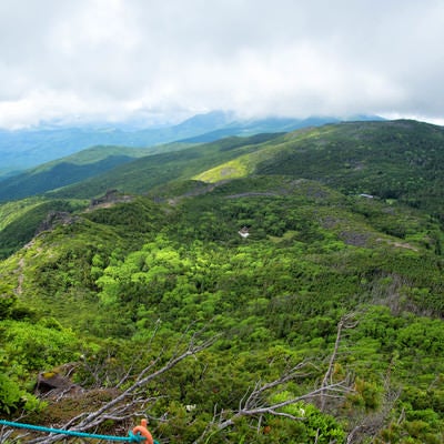 東天狗岳山頂から俯瞰した北八ヶ岳の森の写真