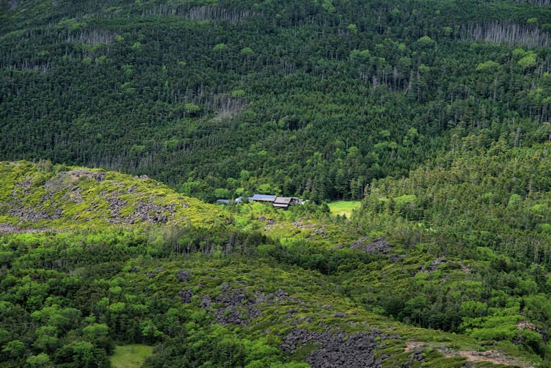 森に囲まれひっそりと佇む黒百合ヒュッテ（山小屋）の写真
