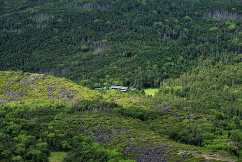 森に囲まれひっそりと佇む黒百合ヒュッテ（山小屋）の写真