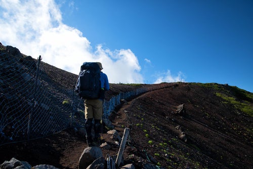 横岳へ向かう登山道とコマクサの保護柵（八ヶ岳）の写真