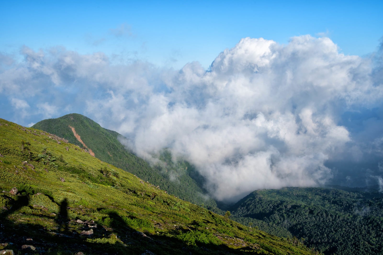 「湧き上がってくる積雲と登山者の影」の写真