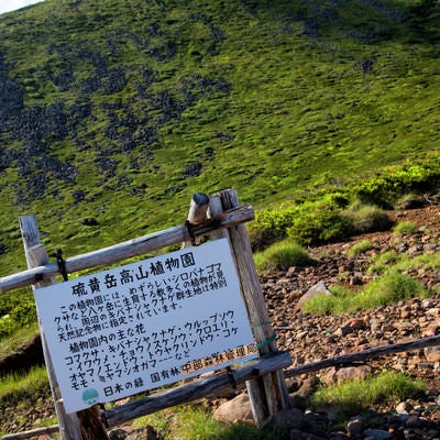 硫黄岳高山植物園の看板の写真