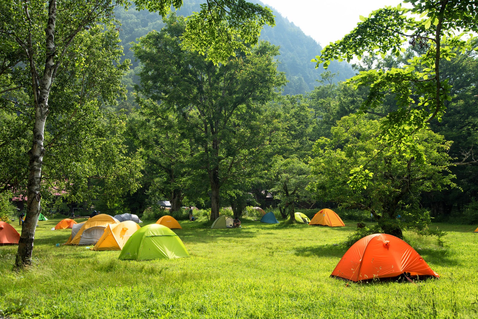 「色とりどりのテント（徳澤キャンプ場）」の写真