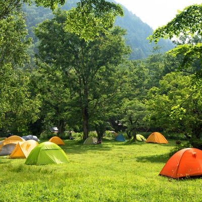 色とりどりのテント（徳澤キャンプ場）の写真