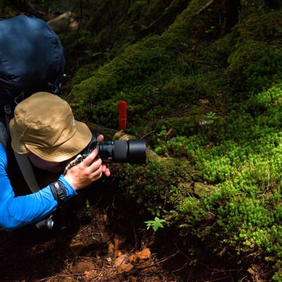 苔をローアングルで撮影する山岳カメラマンの写真
