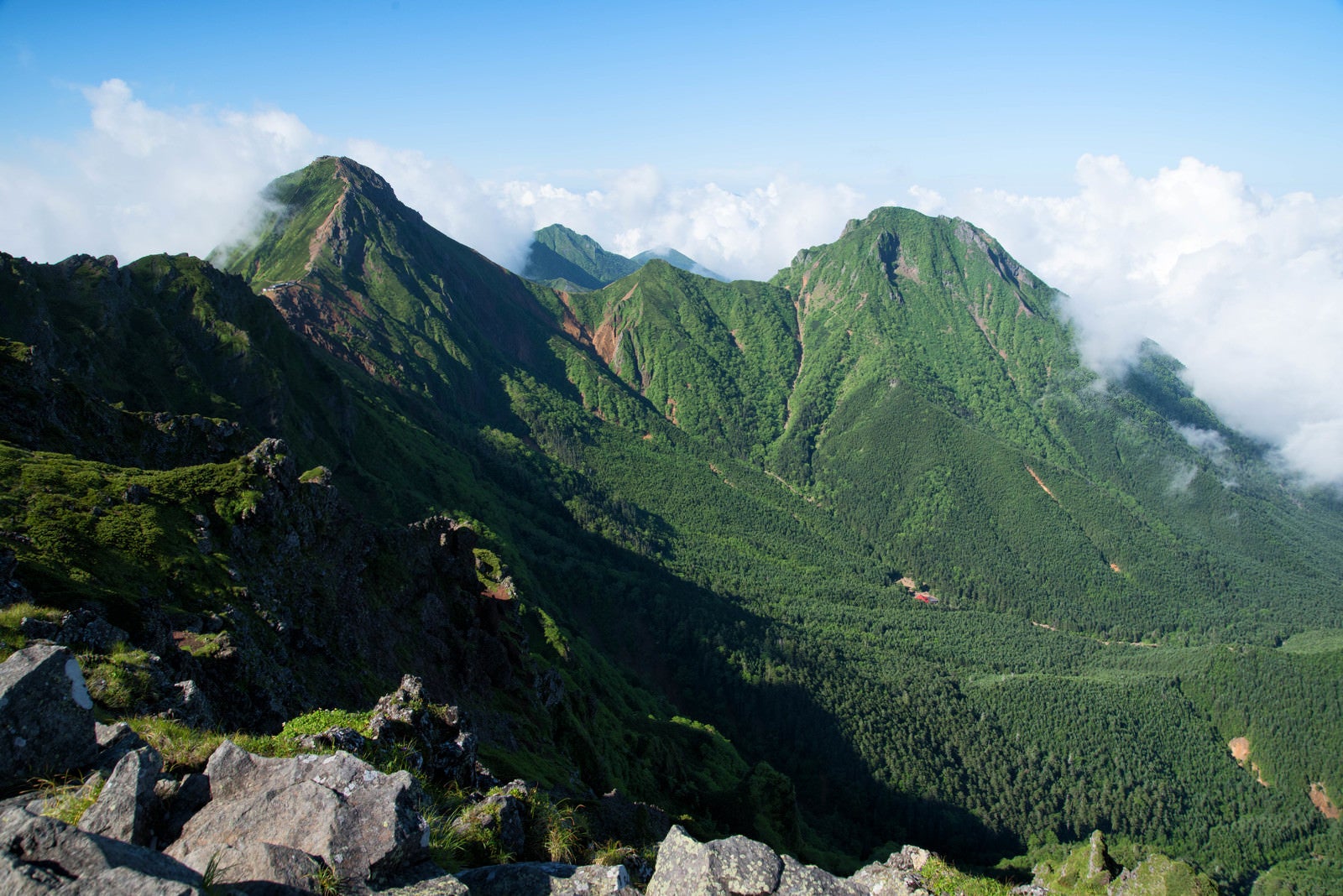 「新緑期の赤岳と阿弥陀岳（八ヶ岳）」の写真
