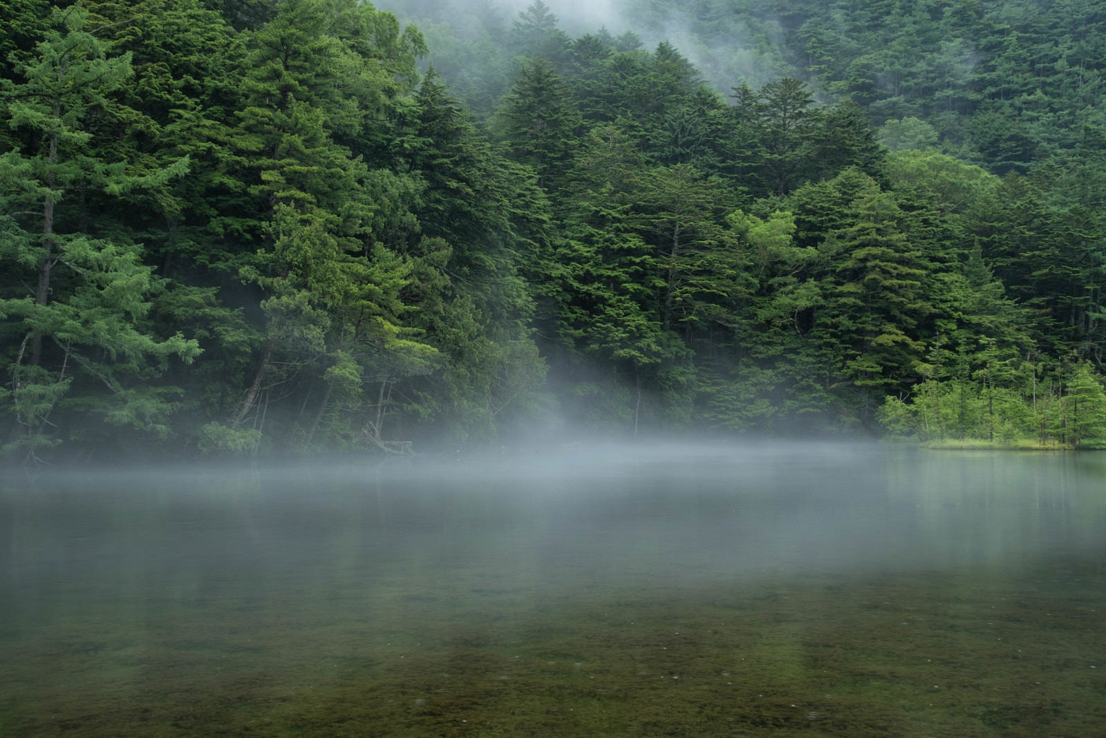 「霧が掛かり始める明神池（上高地）」の写真