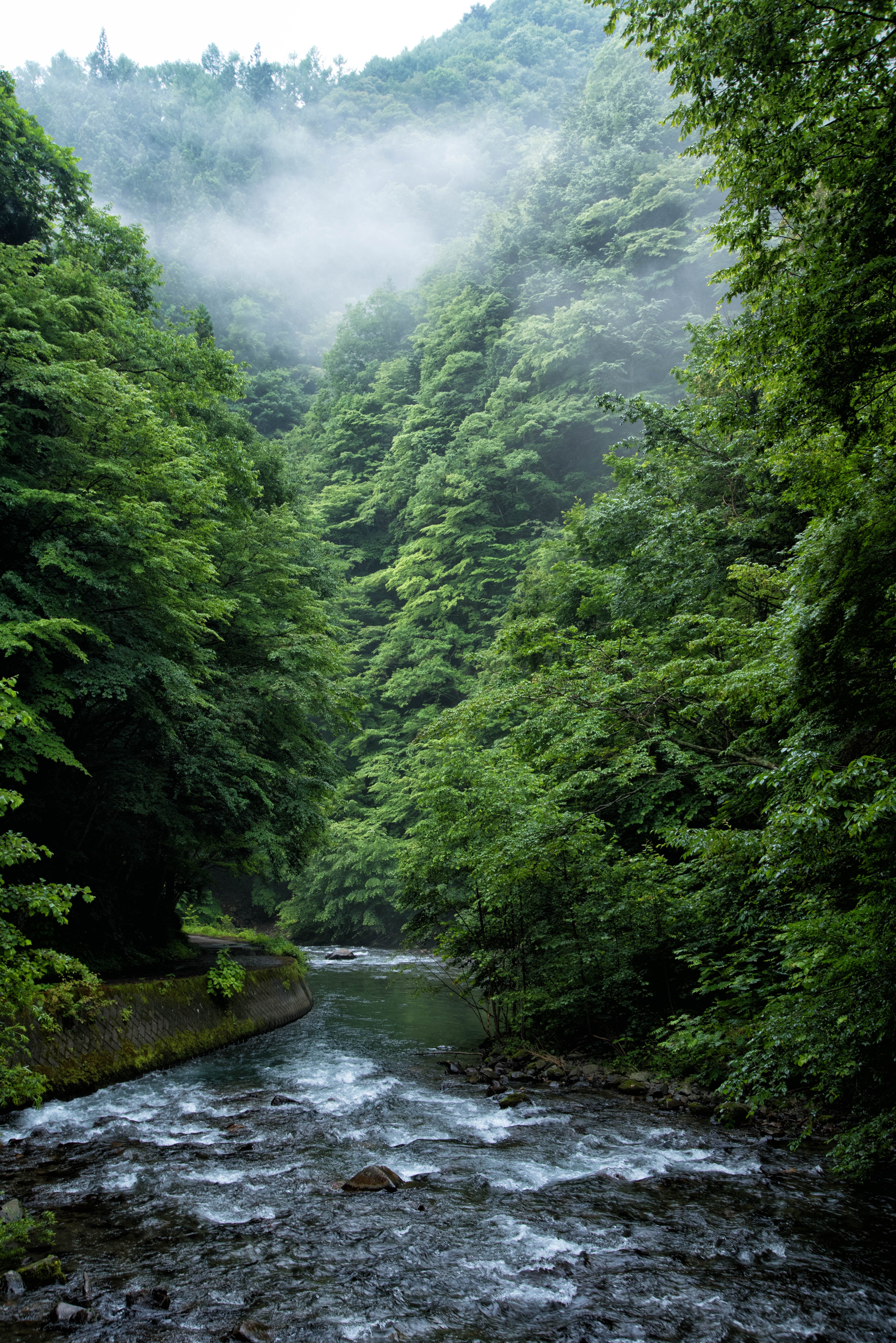 深淵深い島々谷の清流の無料の写真素材 - ID.31471｜フリー素材 ぱくたそ