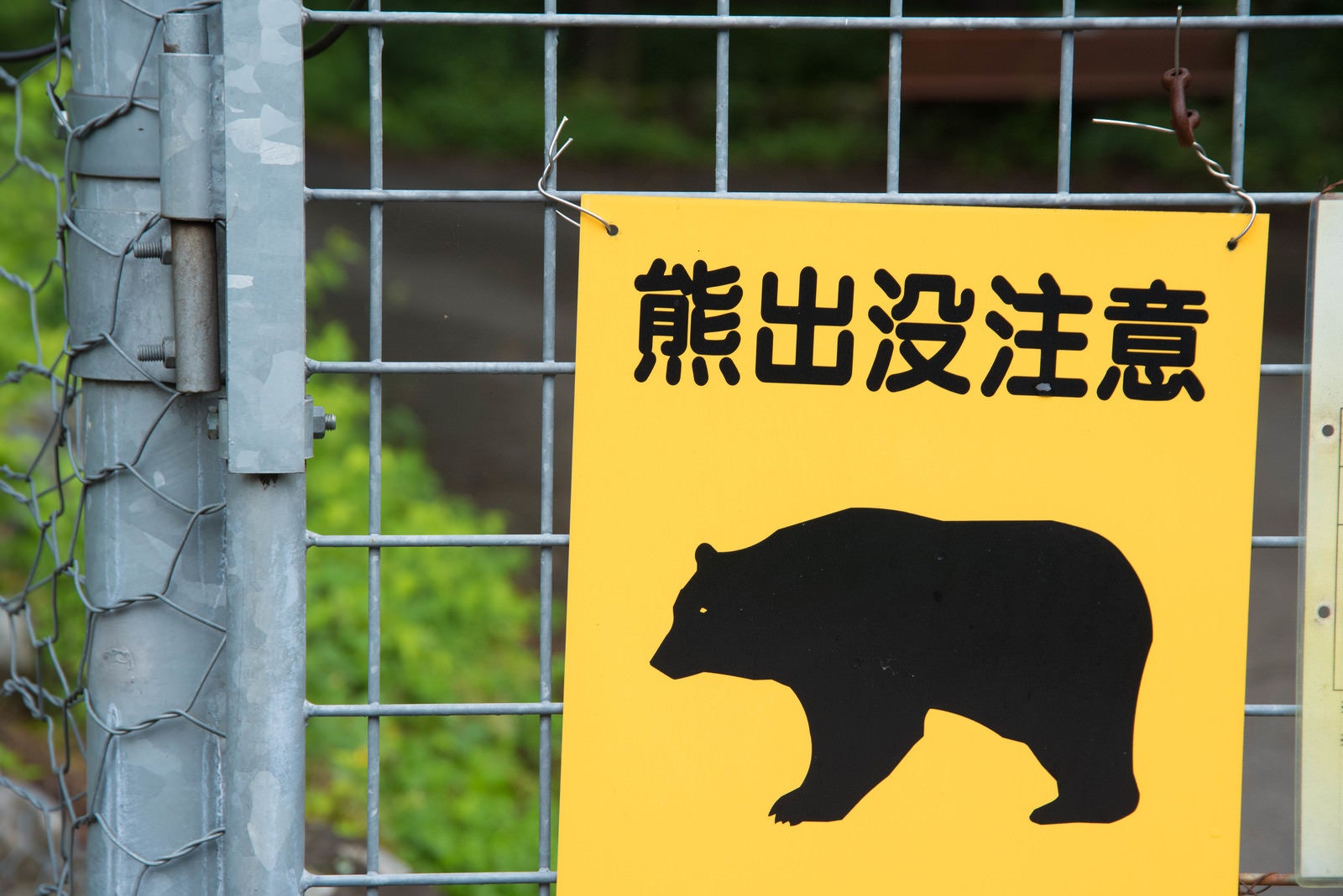 「熊出没注意の黄色い警告板」の写真