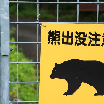 熊出没注意の黄色い警告板の写真