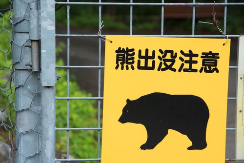 熊出没注意の黄色い警告板の写真