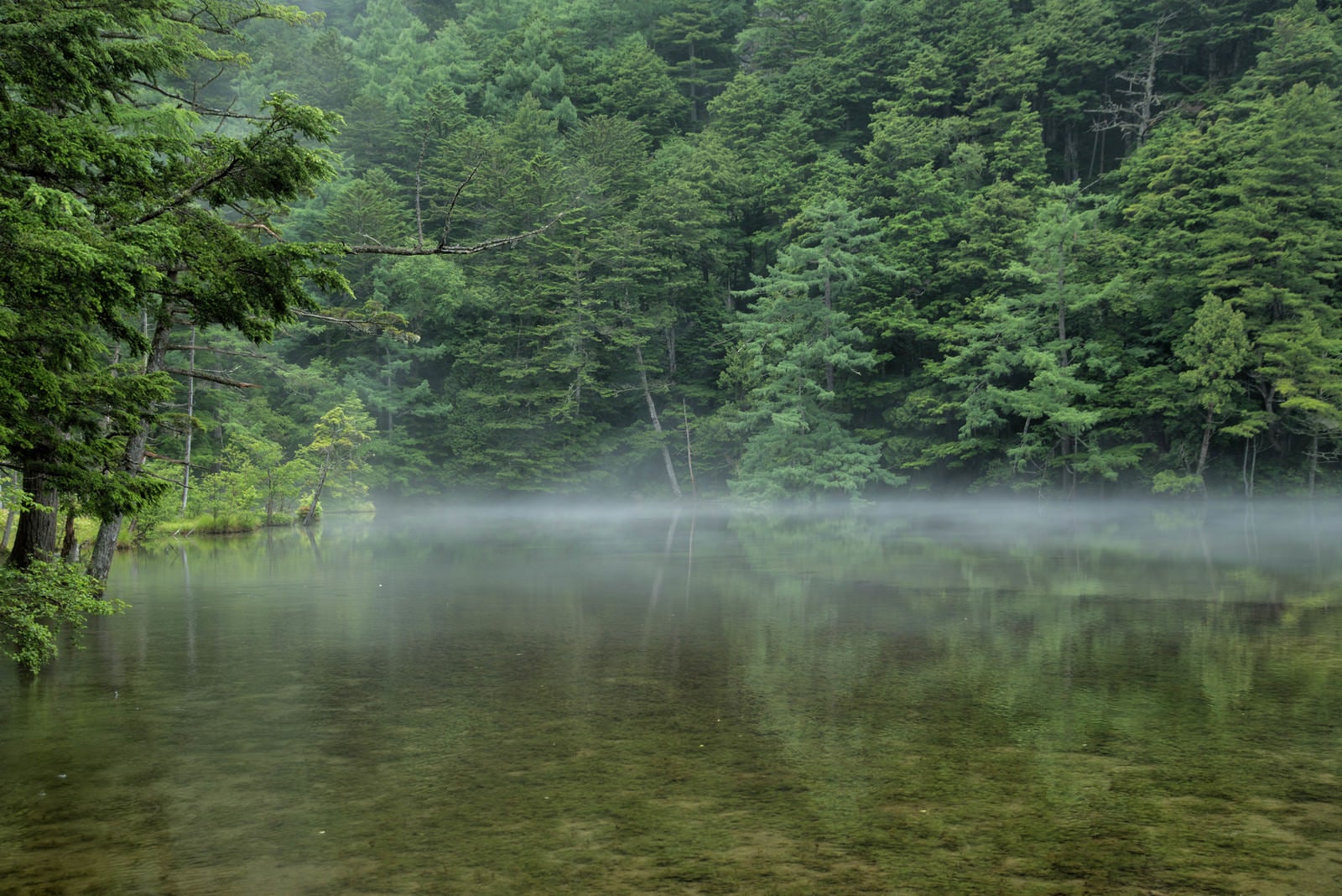 「霧がかる明神池のリフレクション（上高地）」の写真