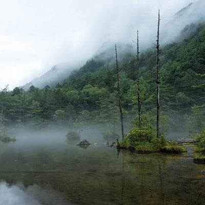 靄に包まれる明神池（上高地）の写真