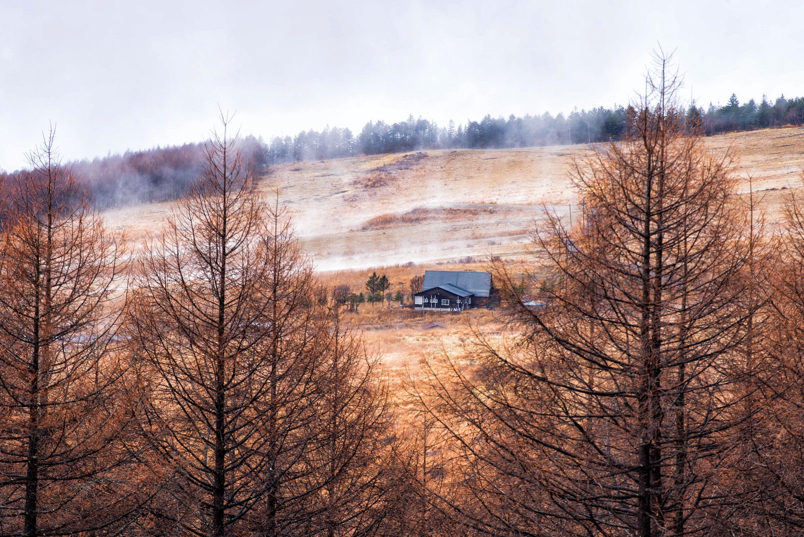 「沸き立つ朝霧と車山高原の一軒家」の写真
