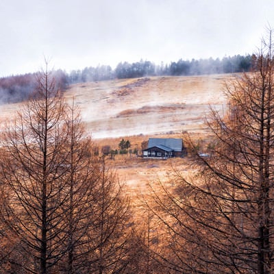 沸き立つ朝霧と車山高原の一軒家の写真