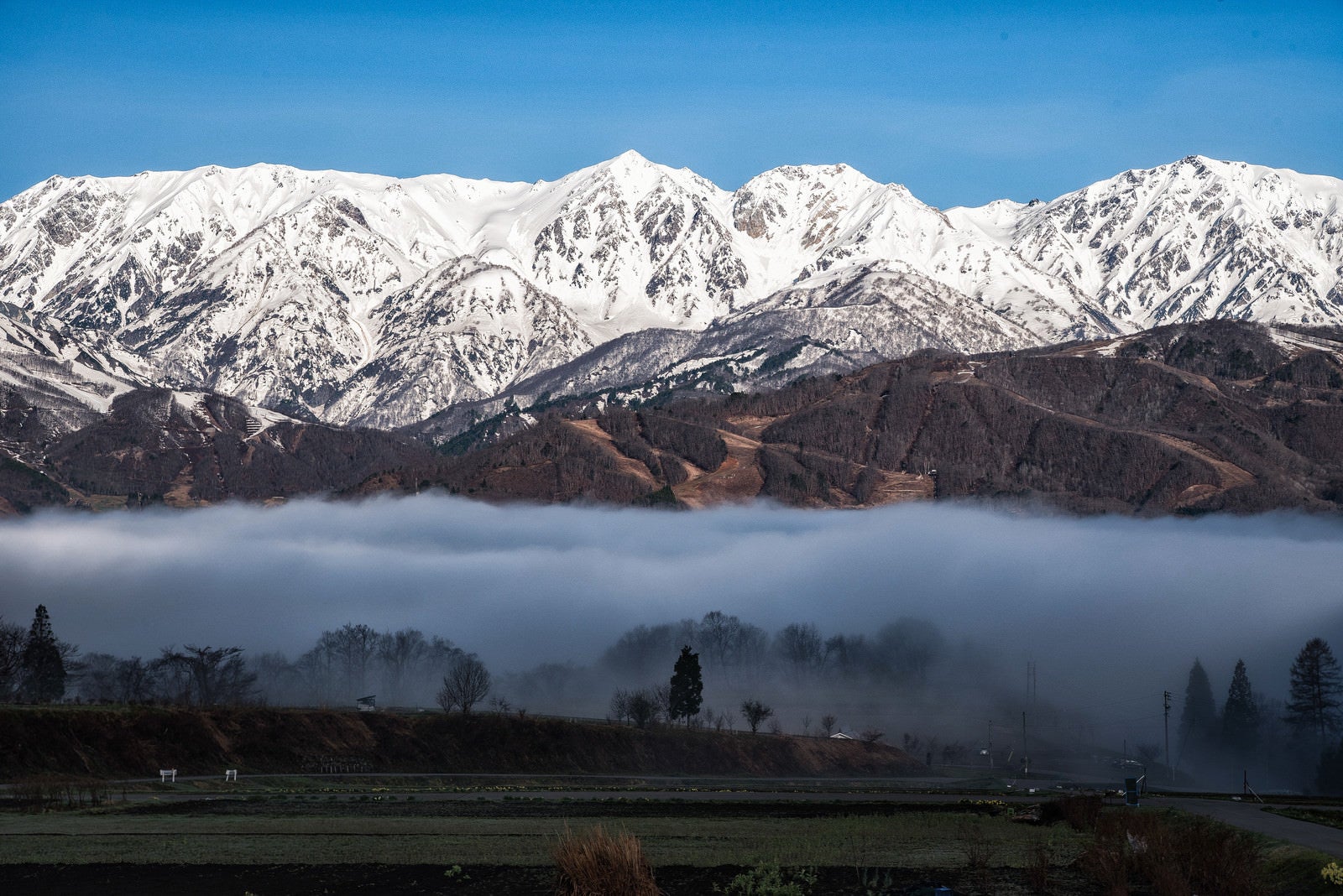 「雲海にのまれる麓の村と白馬三山」の写真