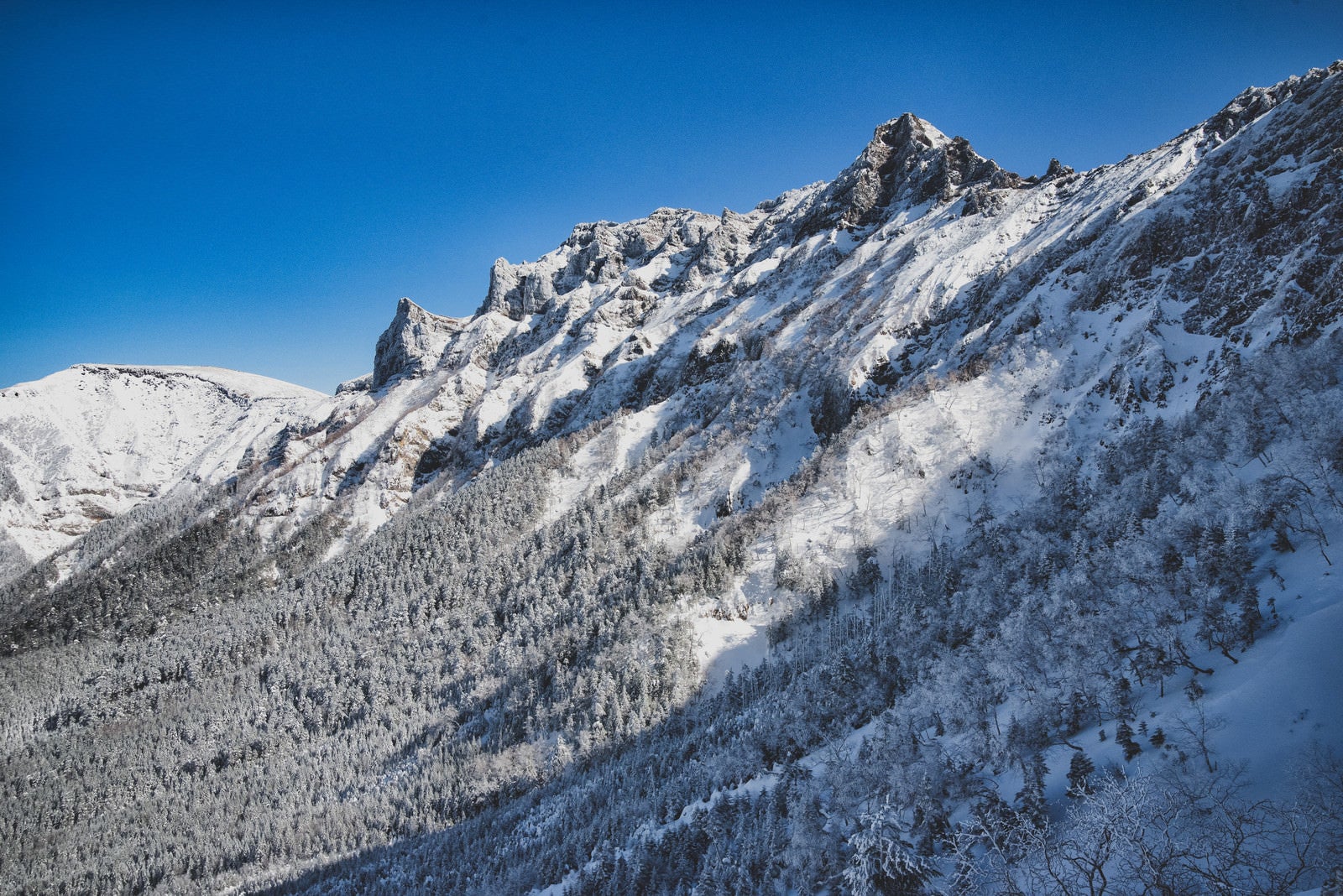 「厳冬の横岳（南八ヶ岳連峰）」の写真