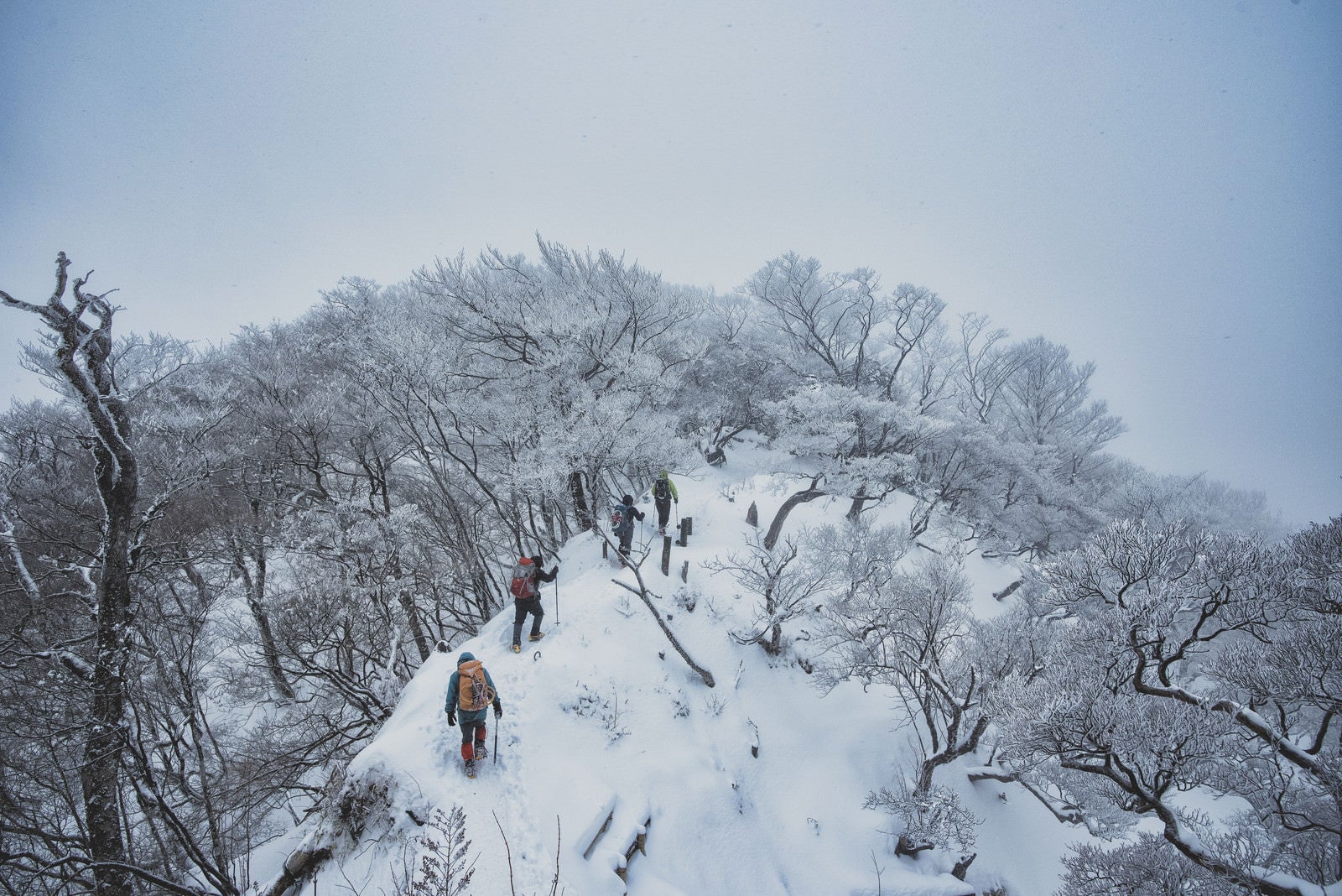「厳冬の丹沢主稜線を進む登山者（神奈川県）」の写真