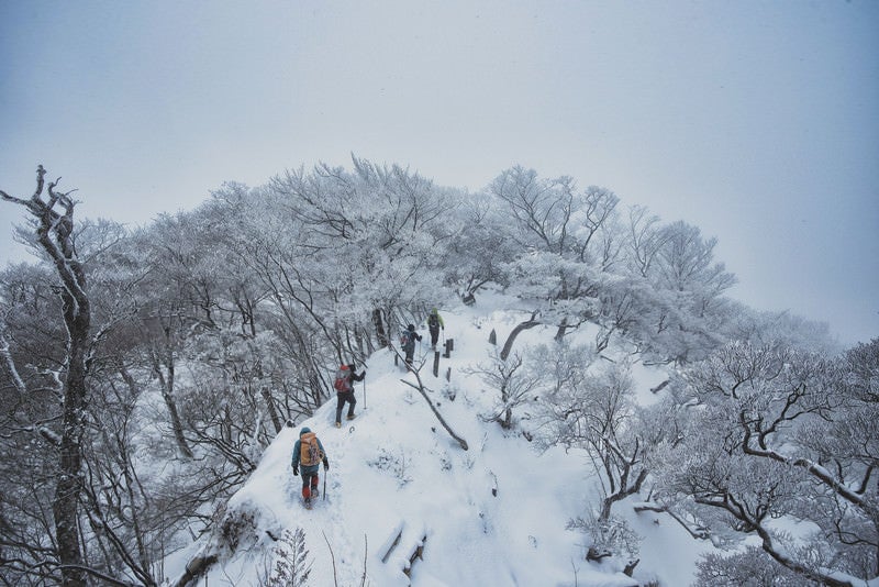 厳冬の丹沢主稜線を進む登山者（神奈川県）の写真