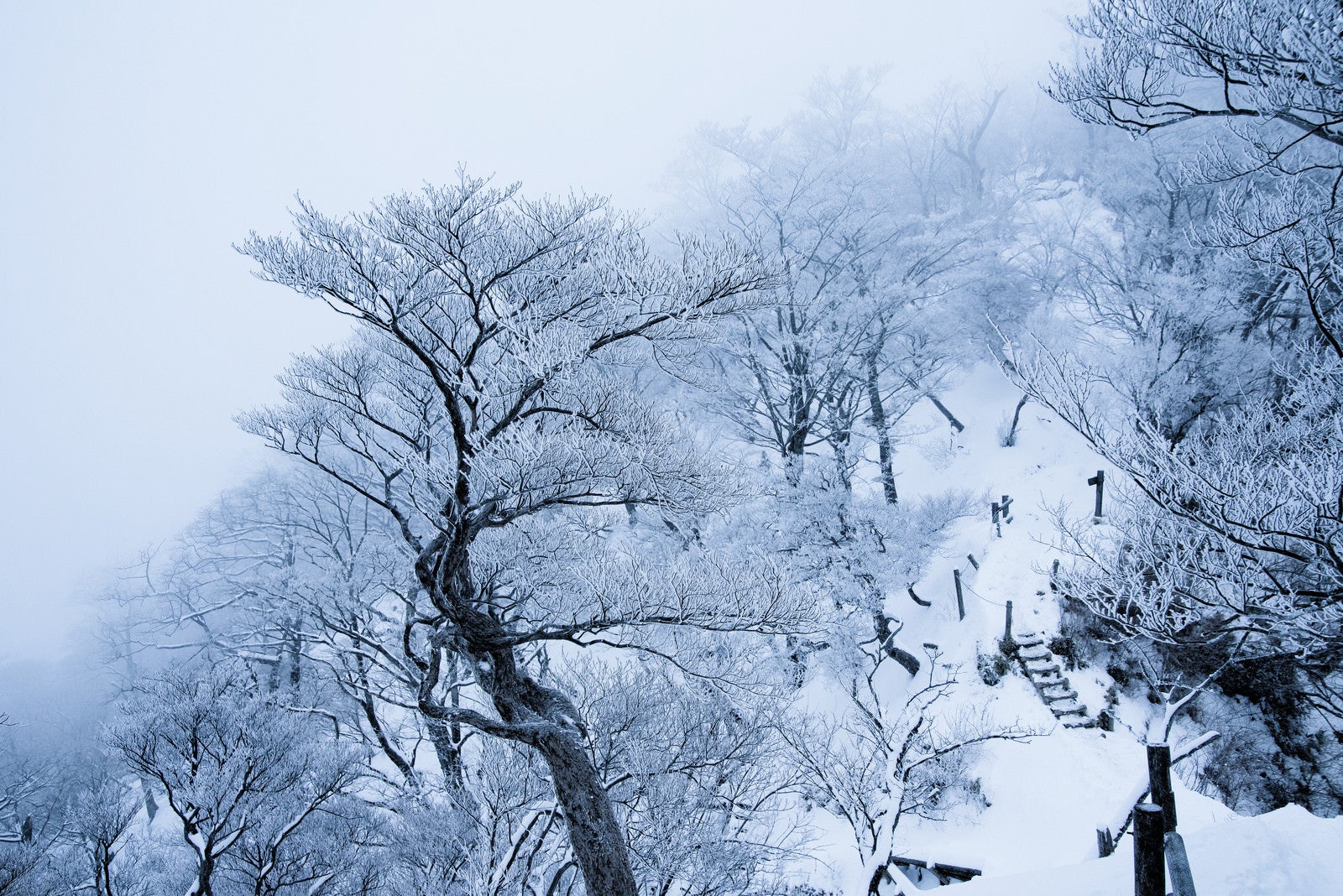 「丹沢の雪景色（神奈川県）」の写真