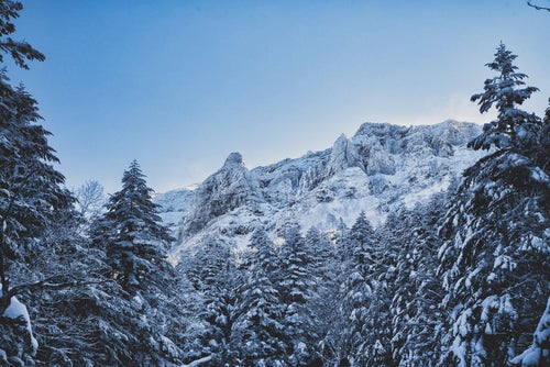積雪の森から見る大同心と小同心（八ヶ岳）の写真