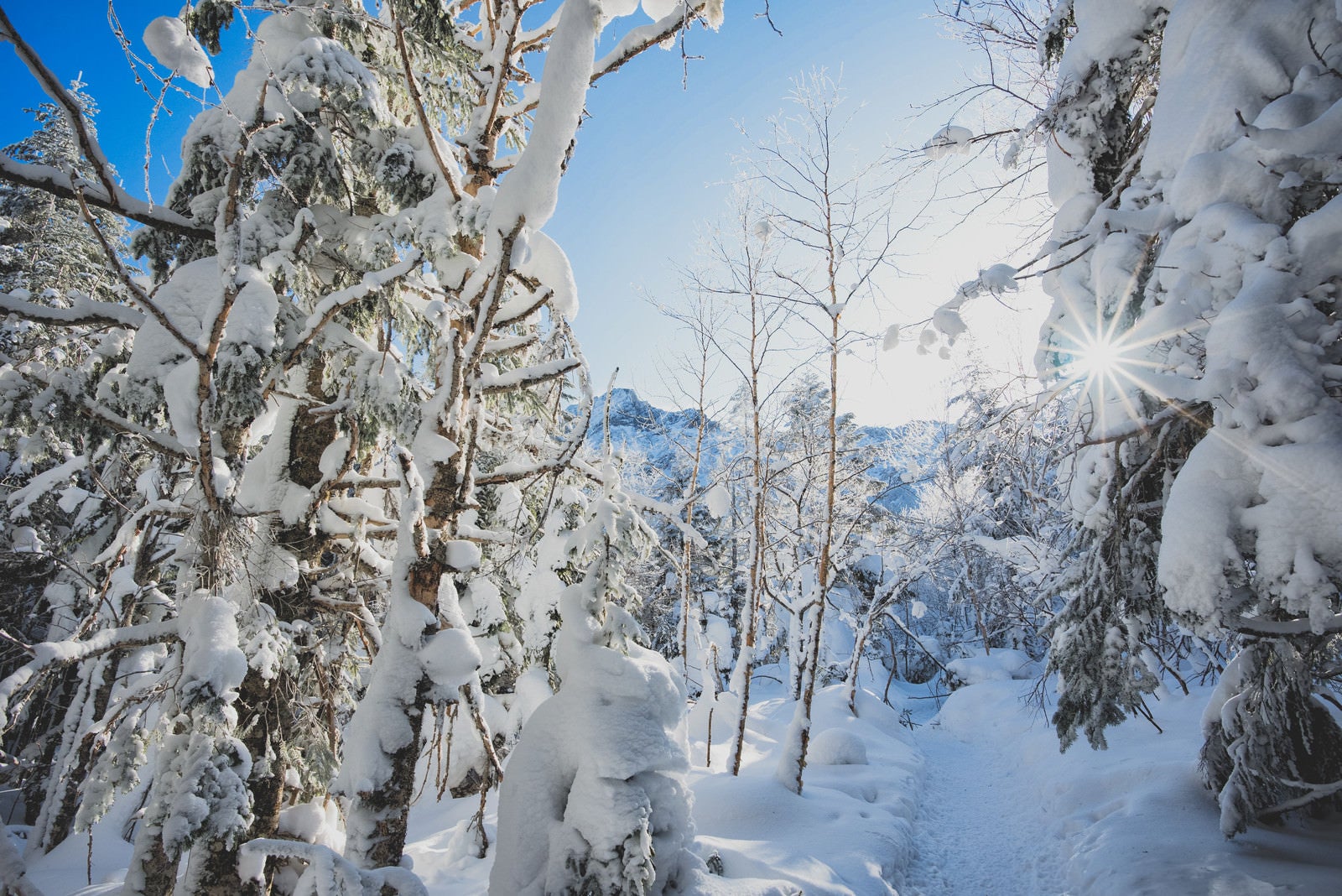 「雪深い白と青の登山道」の写真