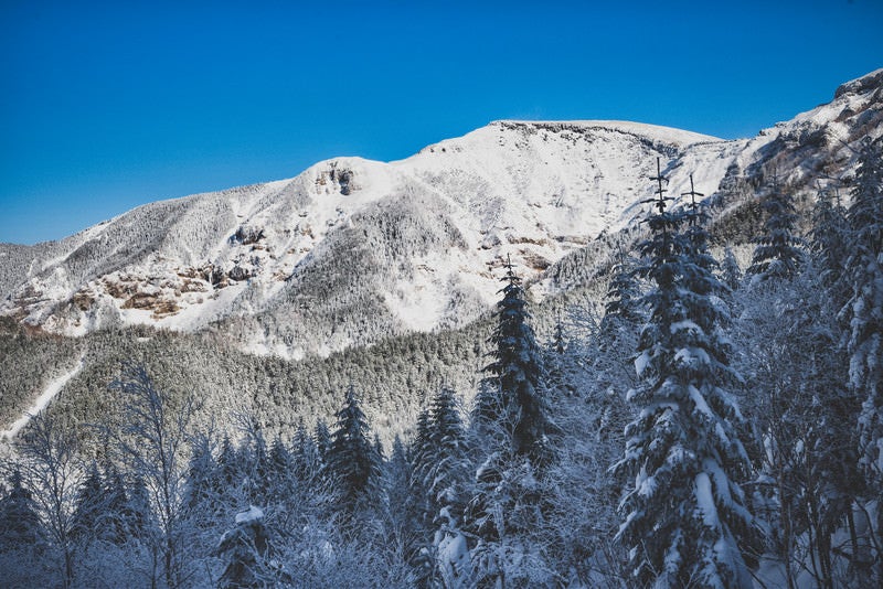 硫黄岳の断崖と厳冬の森（八ヶ岳）の写真