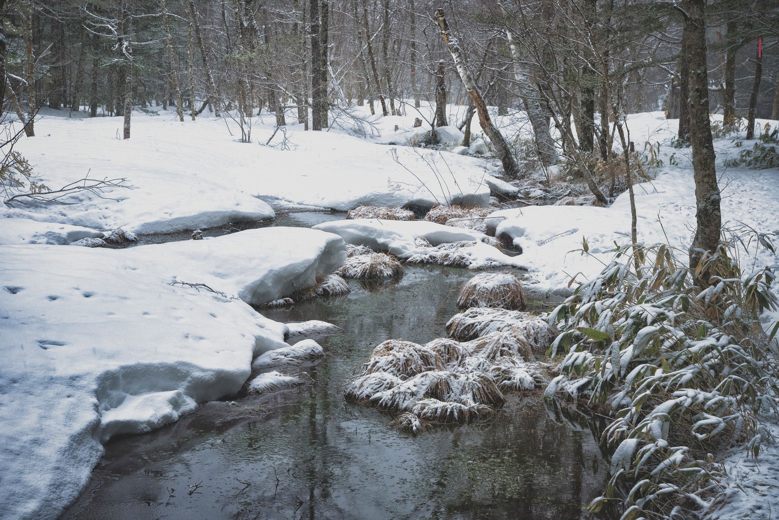 「雪深い冬の湿原（上高地）」の写真