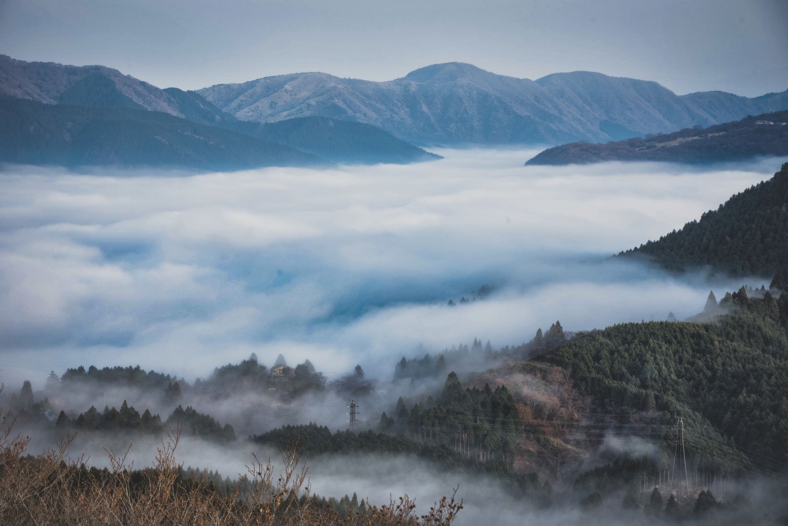 「朝霧が立ち込める幻想的な元箱根の夜明け」の写真