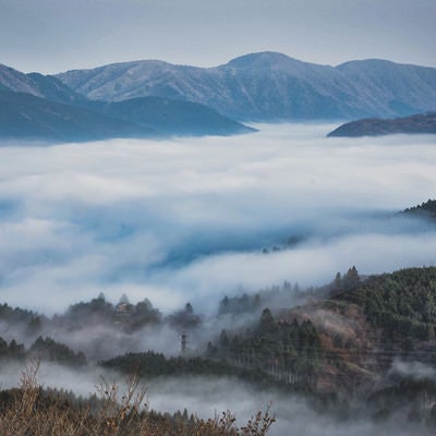 朝霧が立ち込める幻想的な元箱根の夜明けの写真