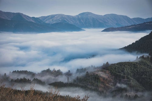 朝霧が立ち込める幻想的な元箱根の夜明けの写真