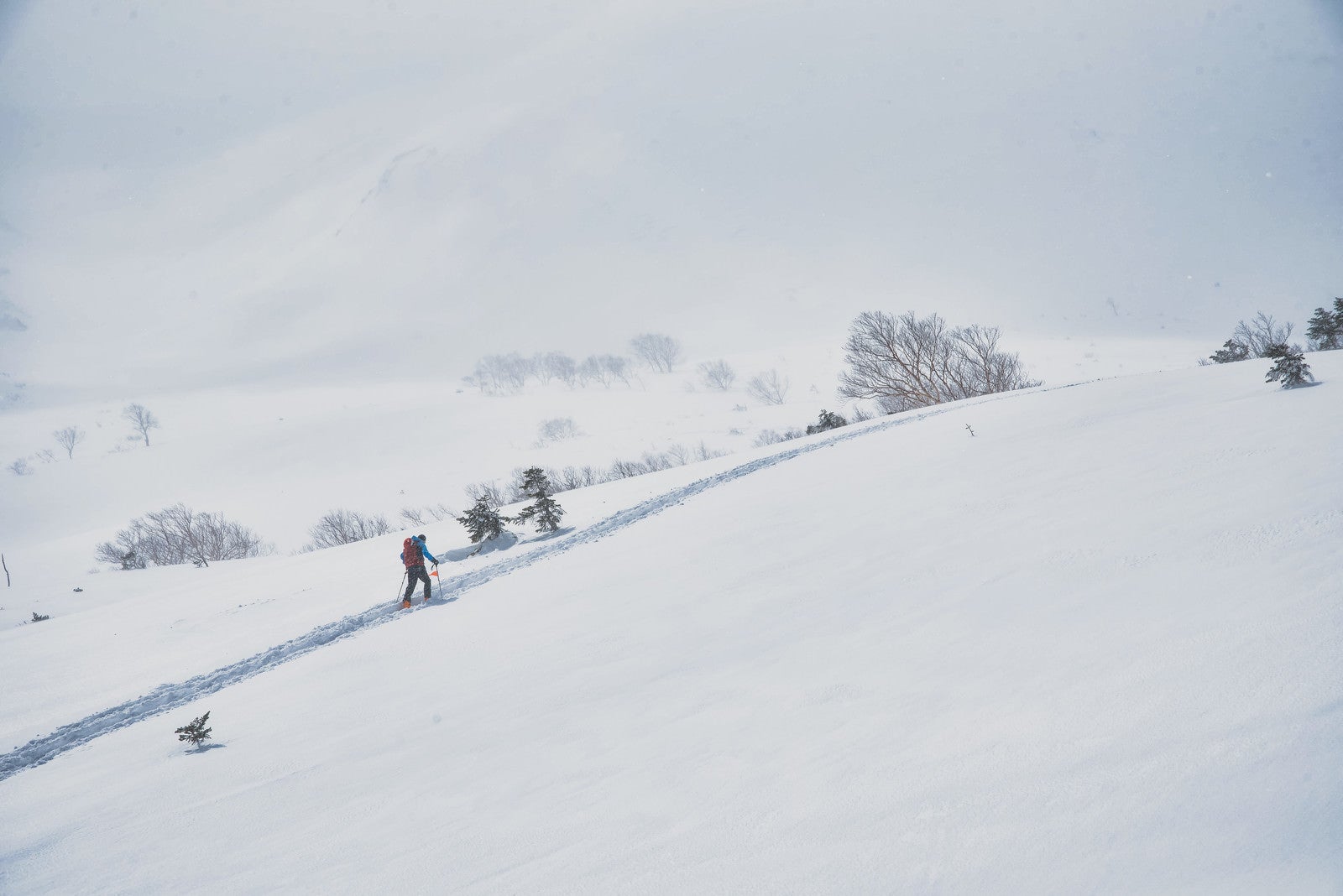 「雪山のトレースに沿って進む登山者」の写真