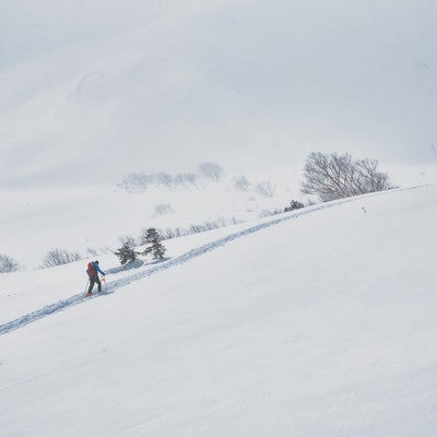 雪山のトレースに沿って進む登山者の写真