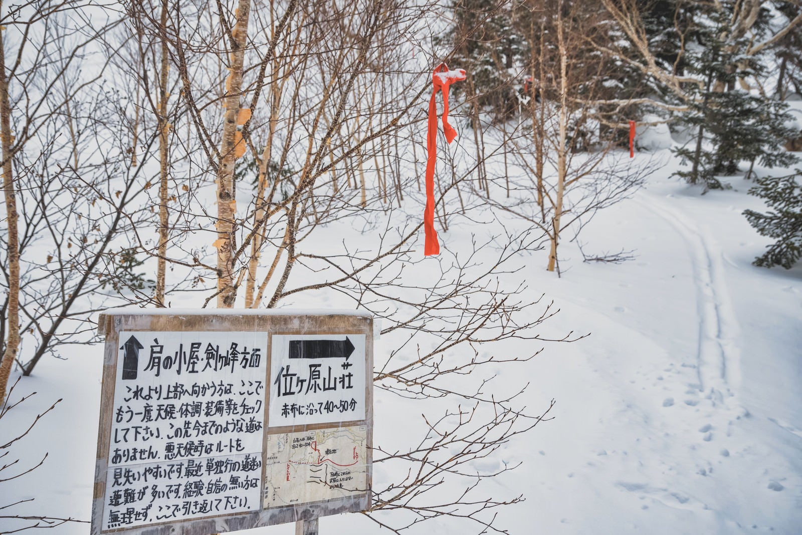 「雪の中の位ヶ原山荘への看板と道しるべ（乗鞍岳）」の写真