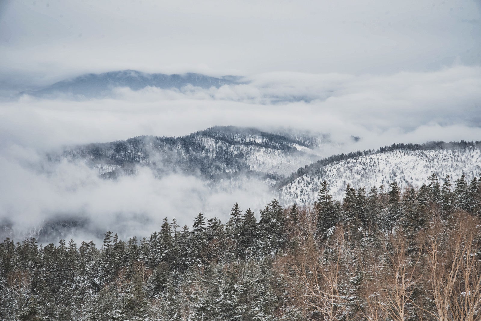 「覆われた雲の中から顔を出す雪山」の写真