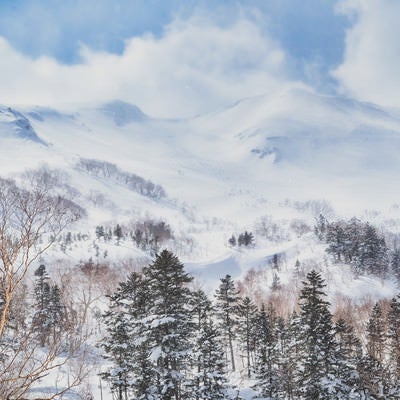 幻想的な冬の乗鞍高原（北アルプス）の写真
