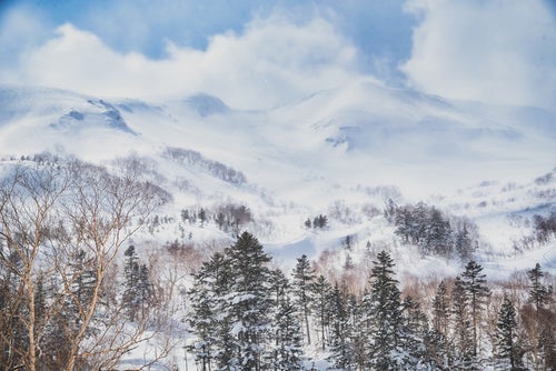 幻想的な冬の乗鞍高原（北アルプス）の写真